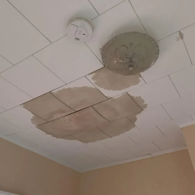 Ceiling Water Damage Repair in Lake Zurich, IL