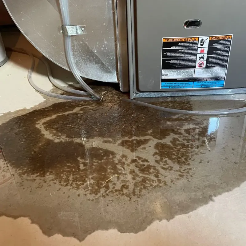 Pipe Burst and Leak Restoration in Lake Zurich, IL